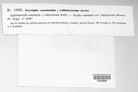 Image Associated With the Occurence